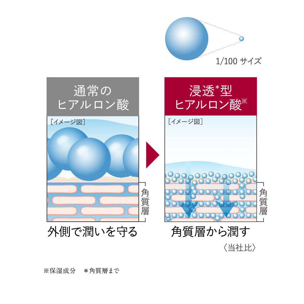 浸透*型ヒアルロン酸※配合 – TUNEMAKERS(チューンメーカーズ)公式